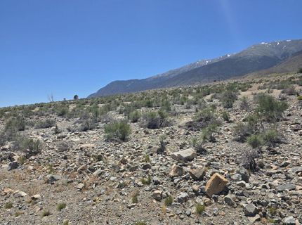 110 Shores Drive, Walker Lake, NV 89415 Photo