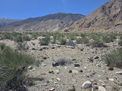 110 Shores Drive, Walker Lake, NV 89415 Photo