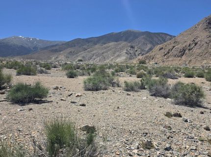 110 Shores Drive, Walker Lake, NV 89415 Photo
