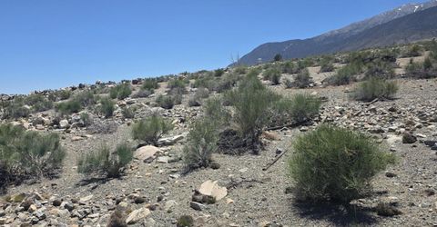 110 Shores Drive, Walker Lake, NV 89415 Photo