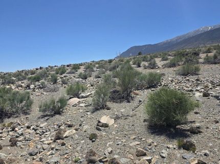 110 Shores Drive, Walker Lake, NV 89415 Photo