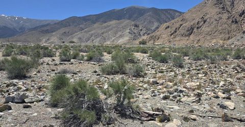 110 Shores Drive, Walker Lake, NV 89415 Photo