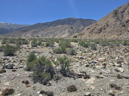 110 Shores Drive, Walker Lake, NV 89415 Photo