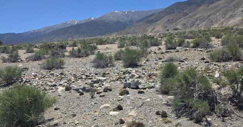 110 Shores Drive, Walker Lake, NV 89415 Photo