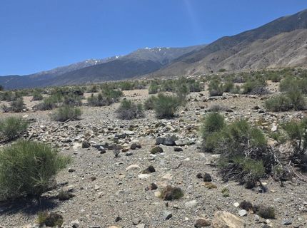 110 Shores Drive, Walker Lake, NV 89415 Photo