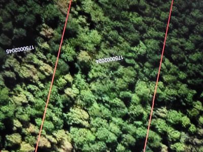 000 Clifford Way, Ridgeville, SC 29472
