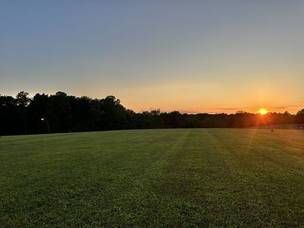 7509 Pinewood Road , Unit 1, Primm Springs, TN 38476