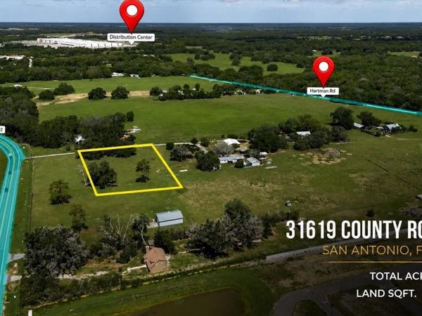 31619 COUNTY ROAD 52 , SAN ANTONIO, FL 33576