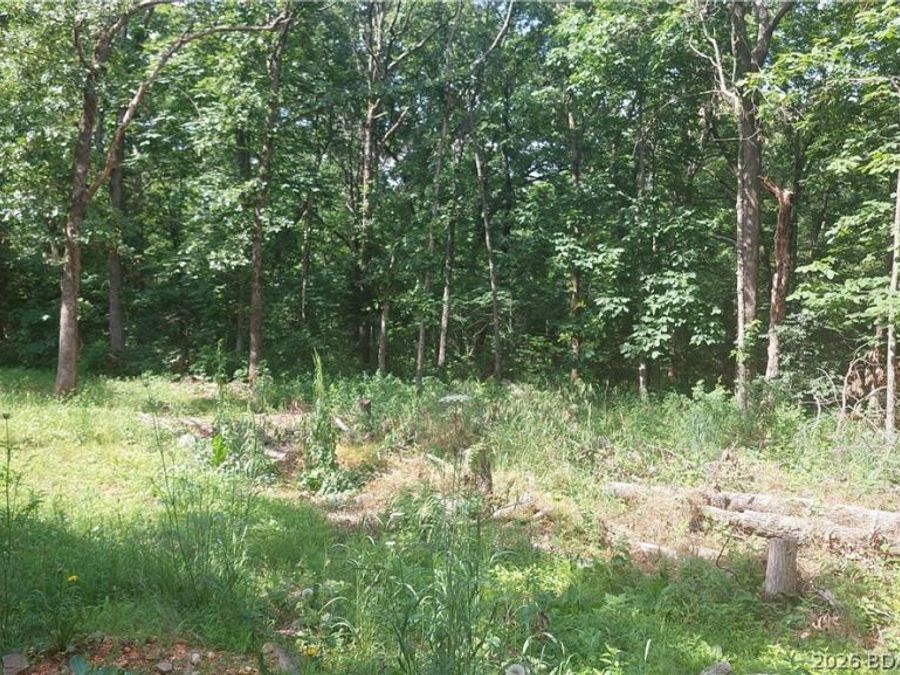 Property Image 18