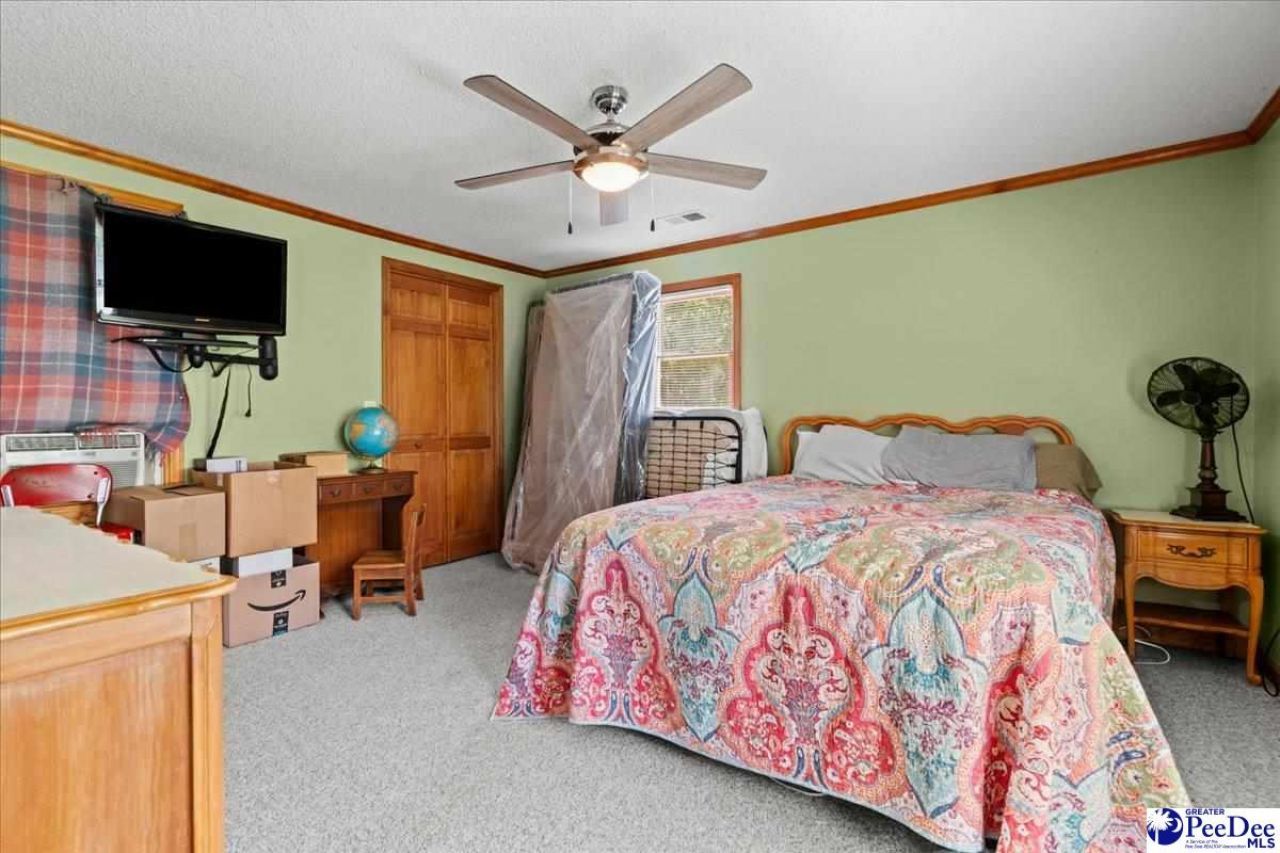 546 W Ralph Lane Photo 17