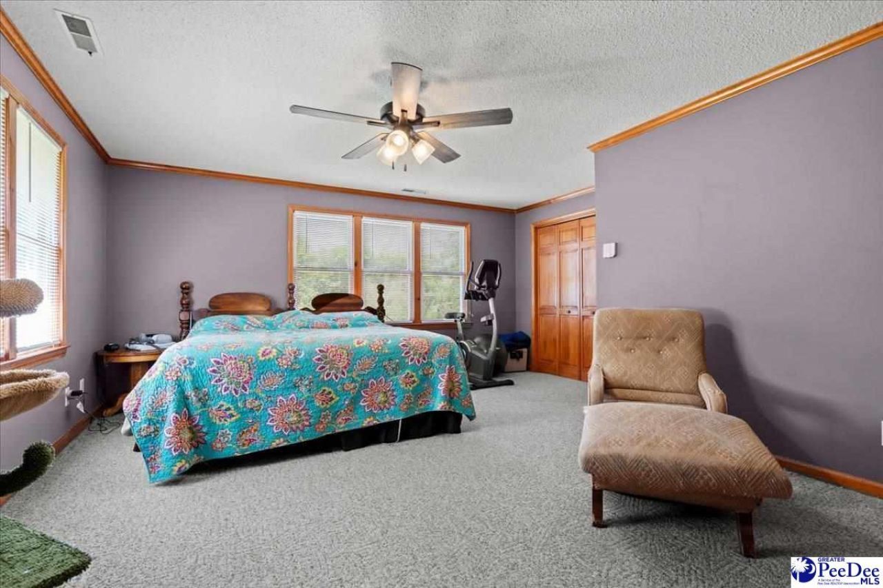 546 W Ralph Lane Photo 18