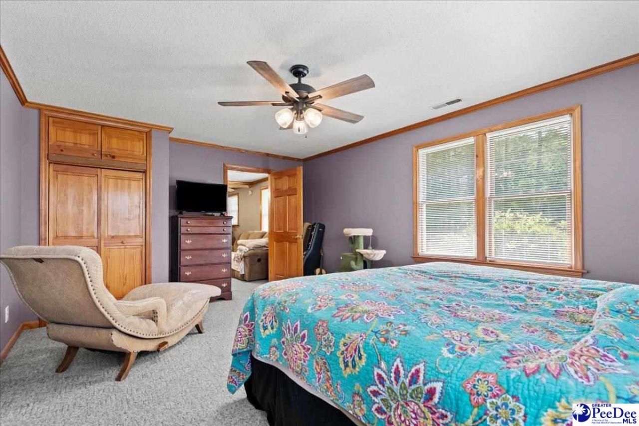 546 W Ralph Lane Photo 19