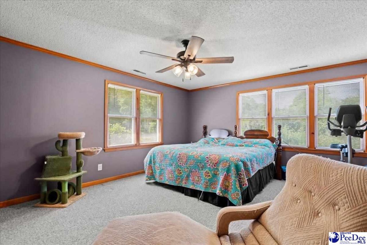 546 W Ralph Lane Photo 20