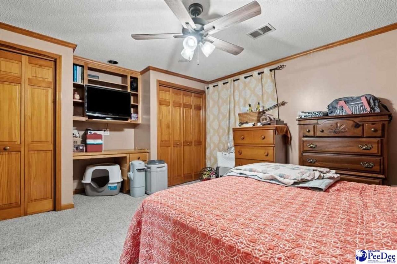 546 W Ralph Lane Photo 21