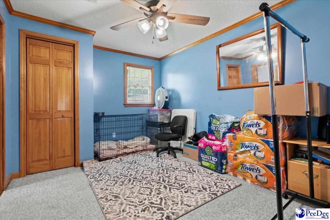 546 W Ralph Lane Photo 22