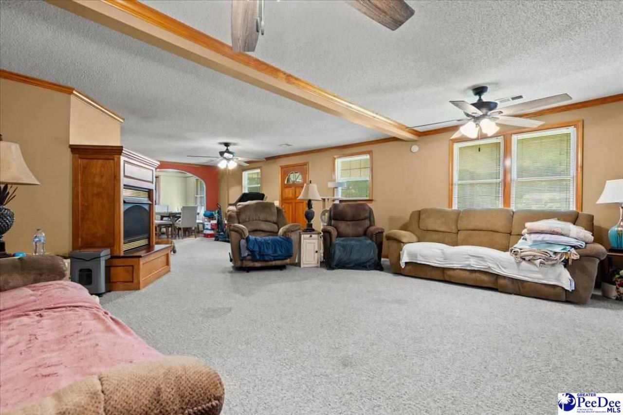 546 W Ralph Lane Photo 4