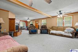 546 W Ralph Lane photo 4