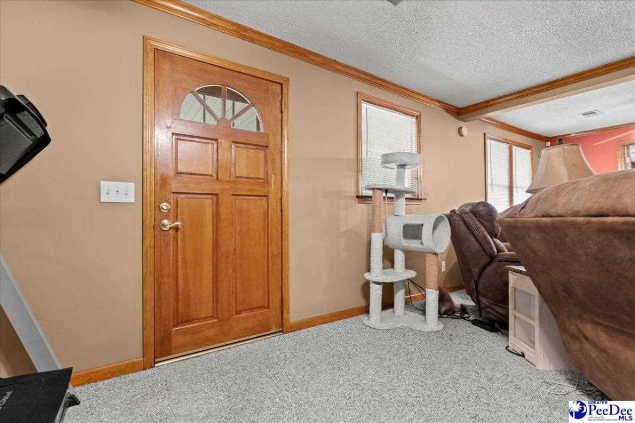 546 W Ralph Lane Photo 6