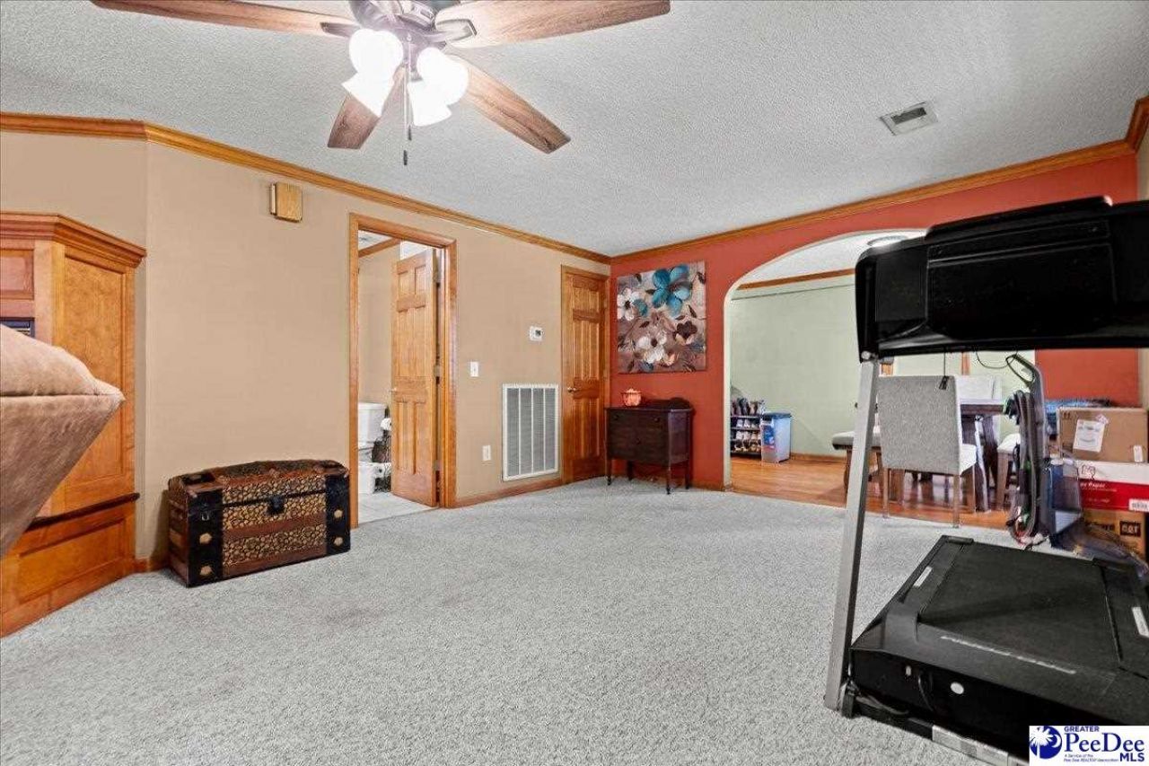 546 W Ralph Lane Photo 7