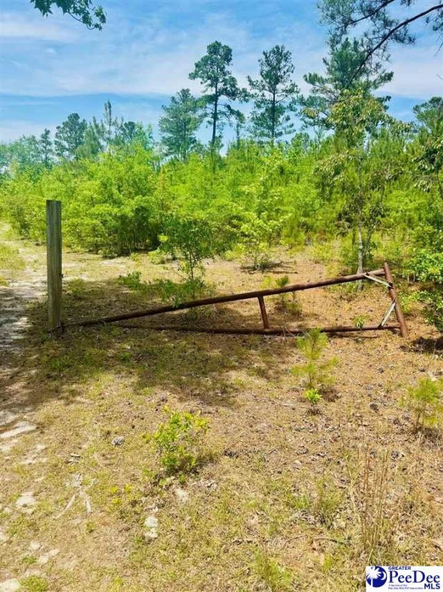 Crowley Rd Photo 18