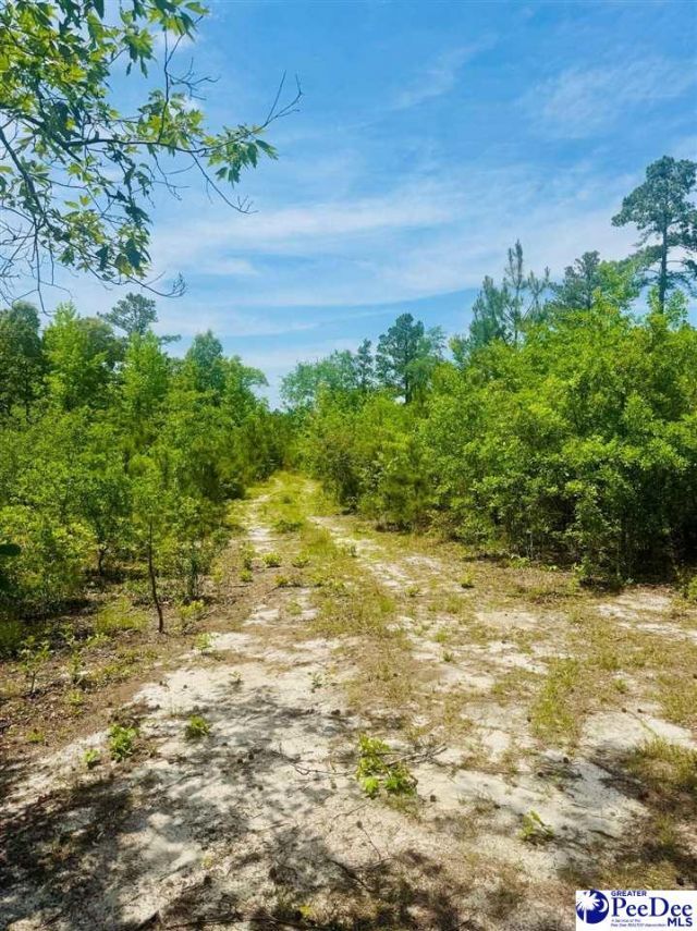 Crowley Rd Photo 19
