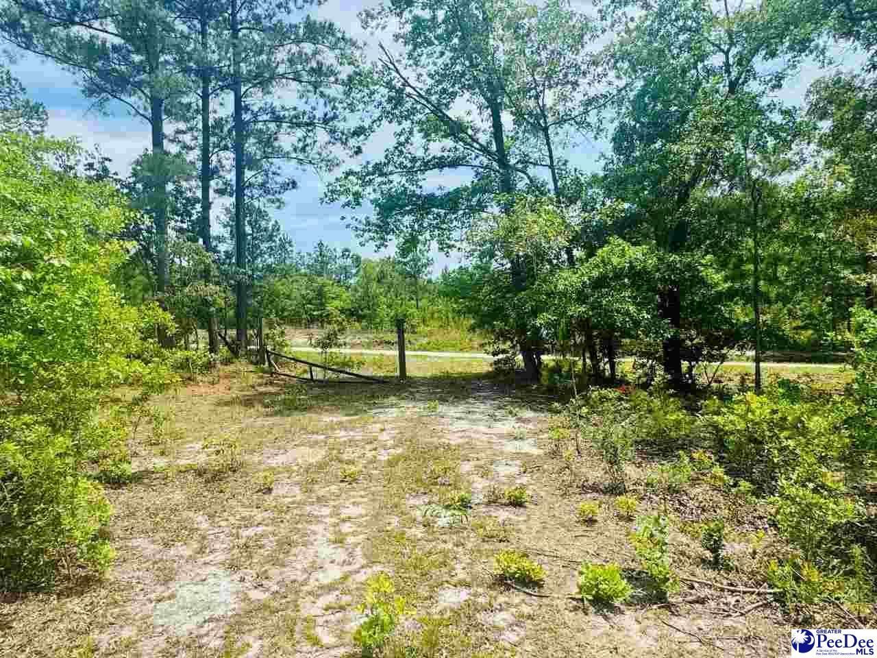 Crowley Rd Photo 21