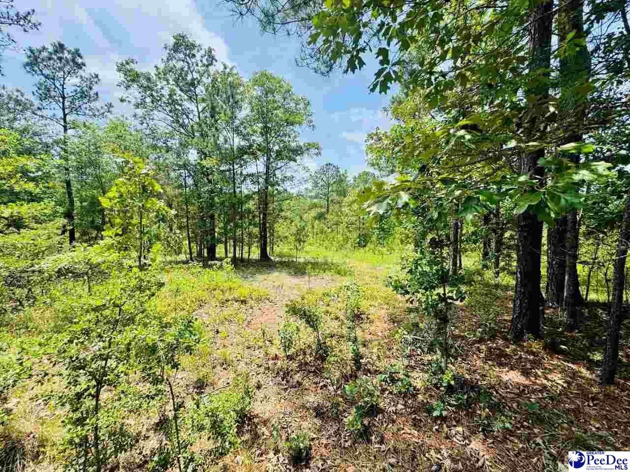Crowley Rd Photo 26