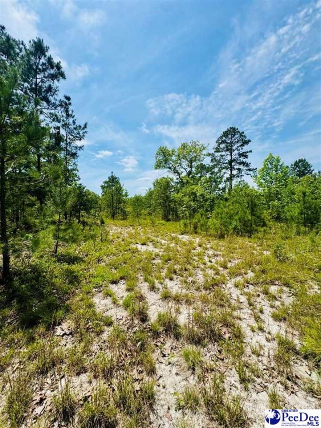 Crowley Rd Photo 38
