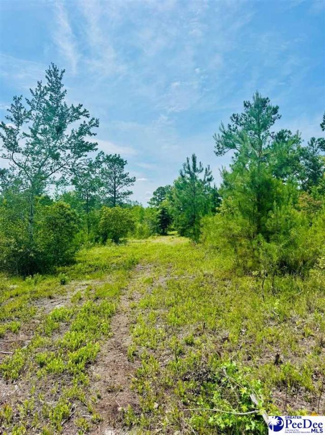 Crowley Rd Photo 41