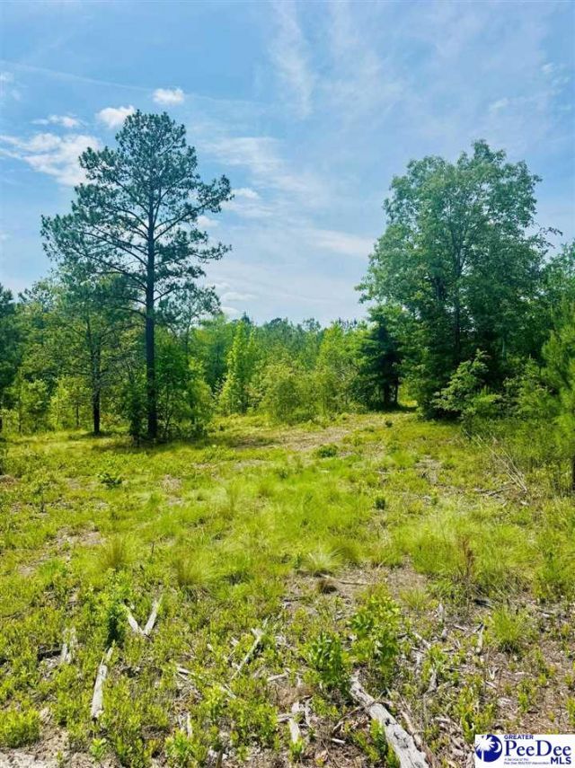 Crowley Rd Photo 43