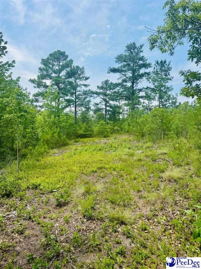 Crowley Rd Photo 45