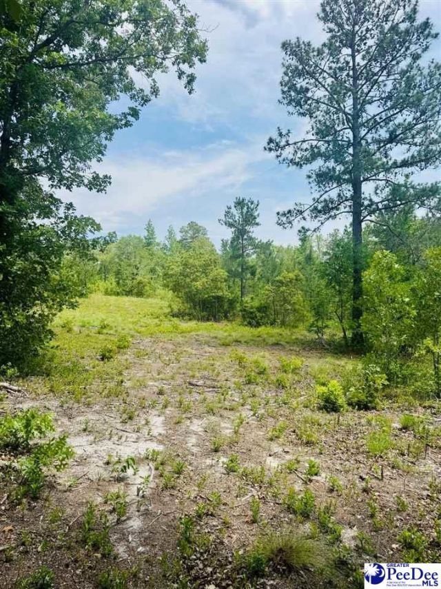 Crowley Rd Photo 46