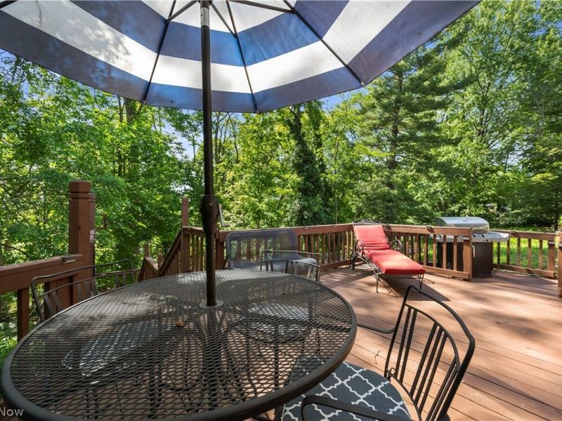 161 Canterbury Road, Elyria, OH 44035 Photo 46