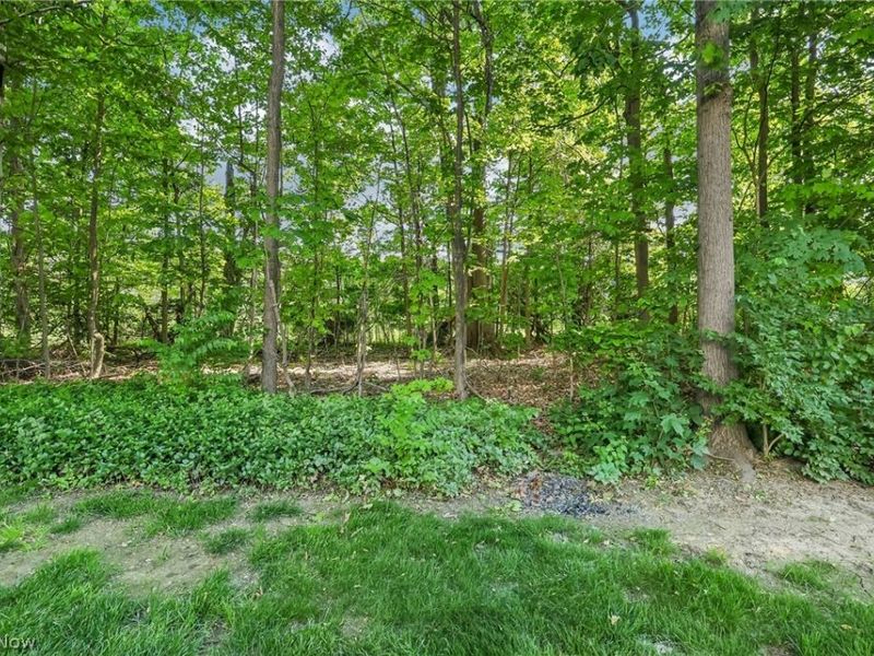 36362 N Reserve Circle, Avon, OH 44011 Photo 34