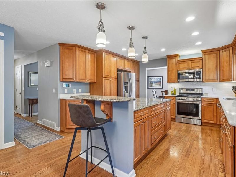 166 Glenview Drive, Avon Lake, OH 44012 Photo 4