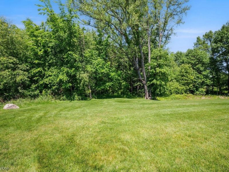 6867 Legacy Lane, Wadsworth, OH 44281 Photo 8
