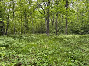 TBD Sandhill Crane Ln , Pine City, MN 55063