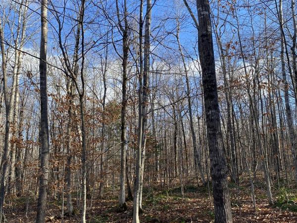 Lot 023 Pleasant Ridge Road , Dexter, ME 04930