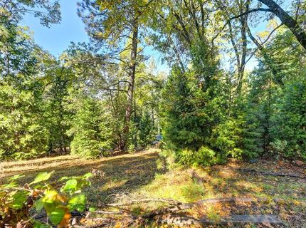 6584 Green Leaf Ln, Foresthill, CA 95631 Photo