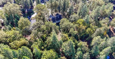 6584 Green Leaf Ln, Foresthill, CA 95631 Photo