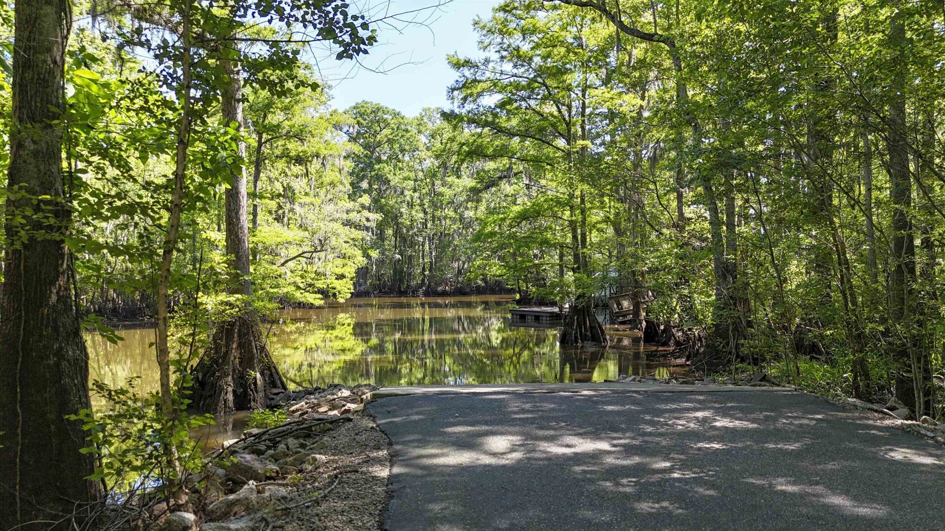 61 Oak Landing Trail  Photo 19