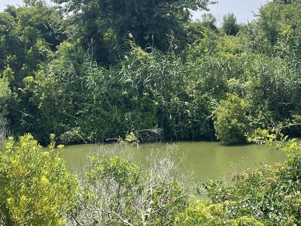 Lot 204a Sandpiper Drive , Hertford, NC 27944