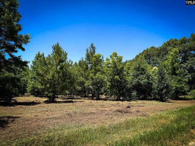 0 S Bethlehem Road , Unit Lot 2, Batesburg, SC 29006