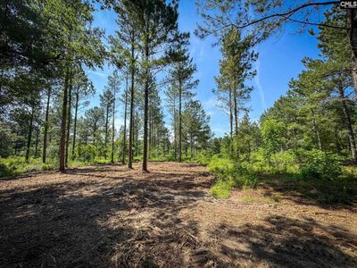 0 Lewis Waters Road , Leesville, SC 29070
