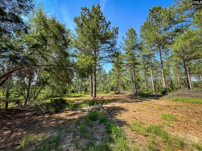 0 Lewis Waters Road , Unit Lot 2, Leesville, SC 29070