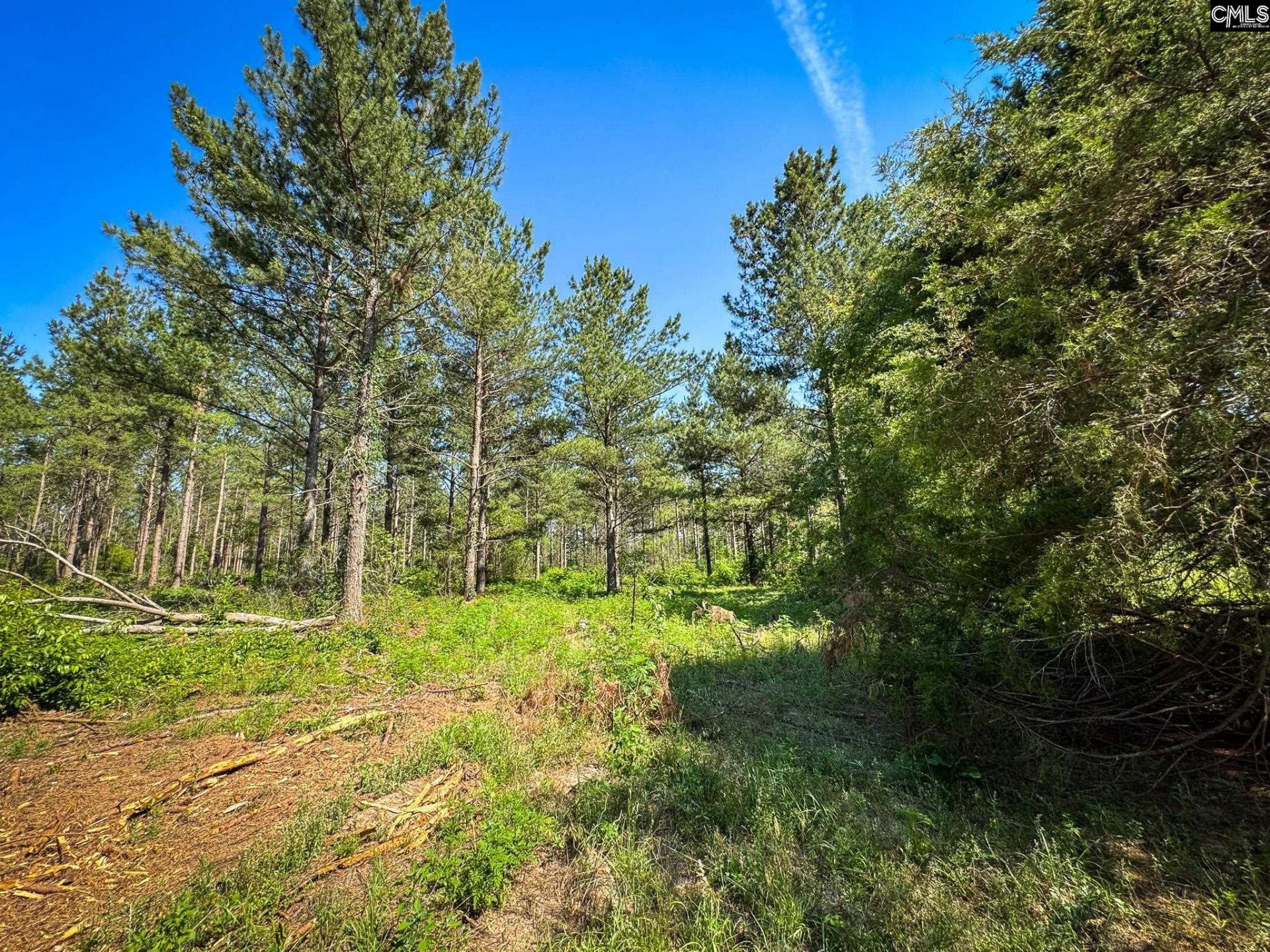 0 Lewis Waters Road  Photo 5