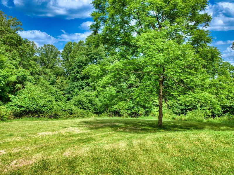 4059 Rock Haven Road NE, Newark, OH 43055 Photo 5