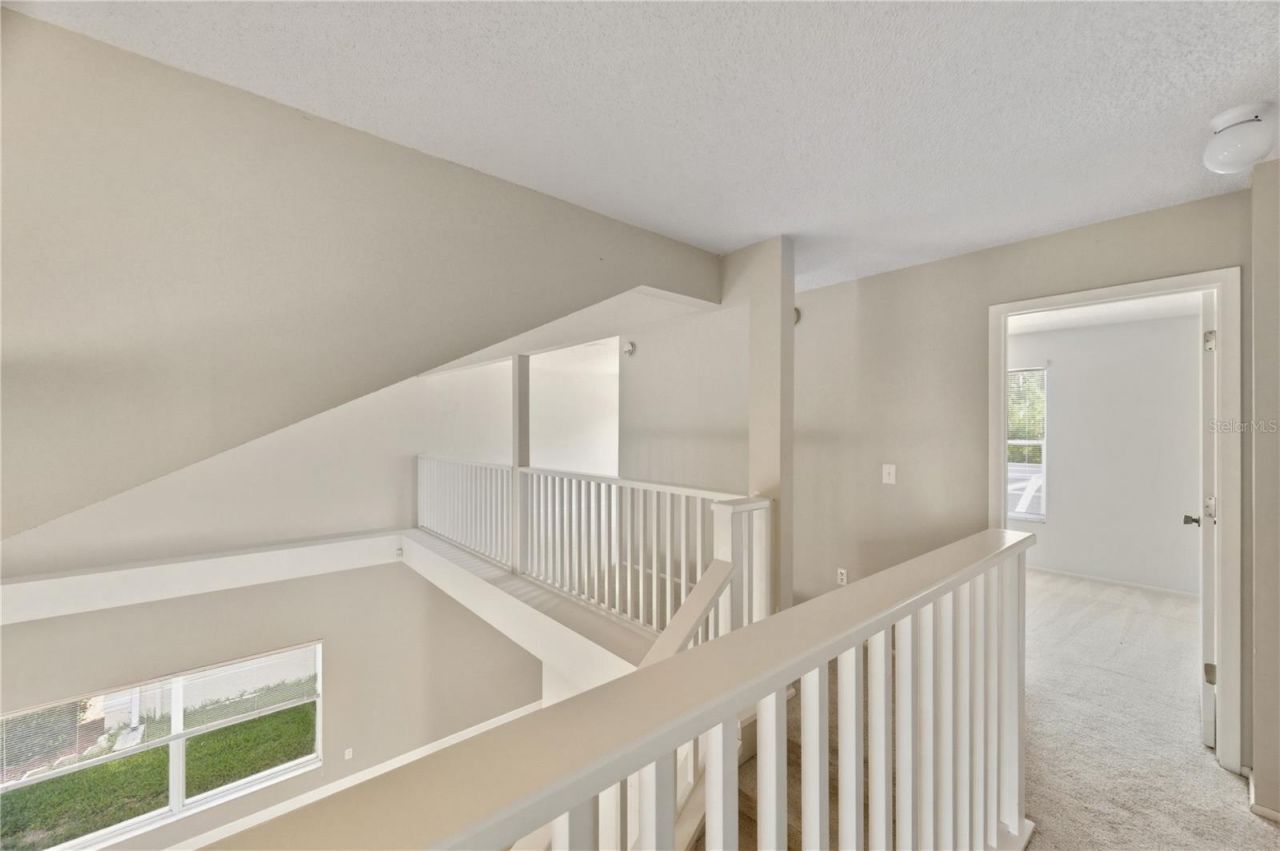 11213 Clayridge Drive, Tampa, FL 33635 Photo