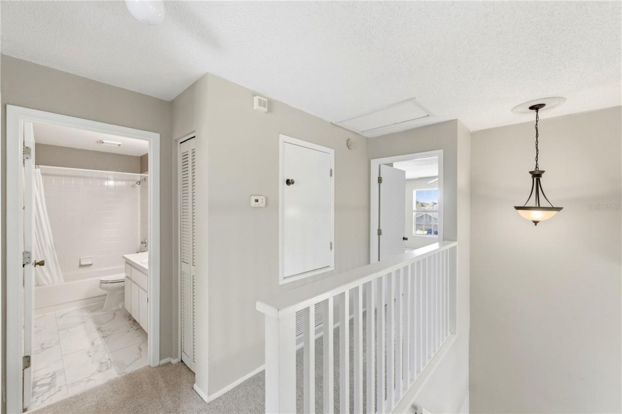 11213 Clayridge Drive, Tampa, FL 33635 Photo