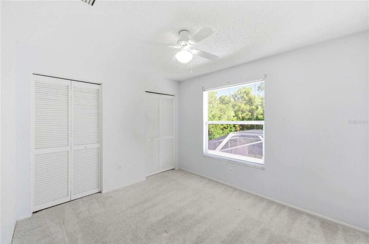 11213 Clayridge Drive, Tampa, FL 33635 Photo